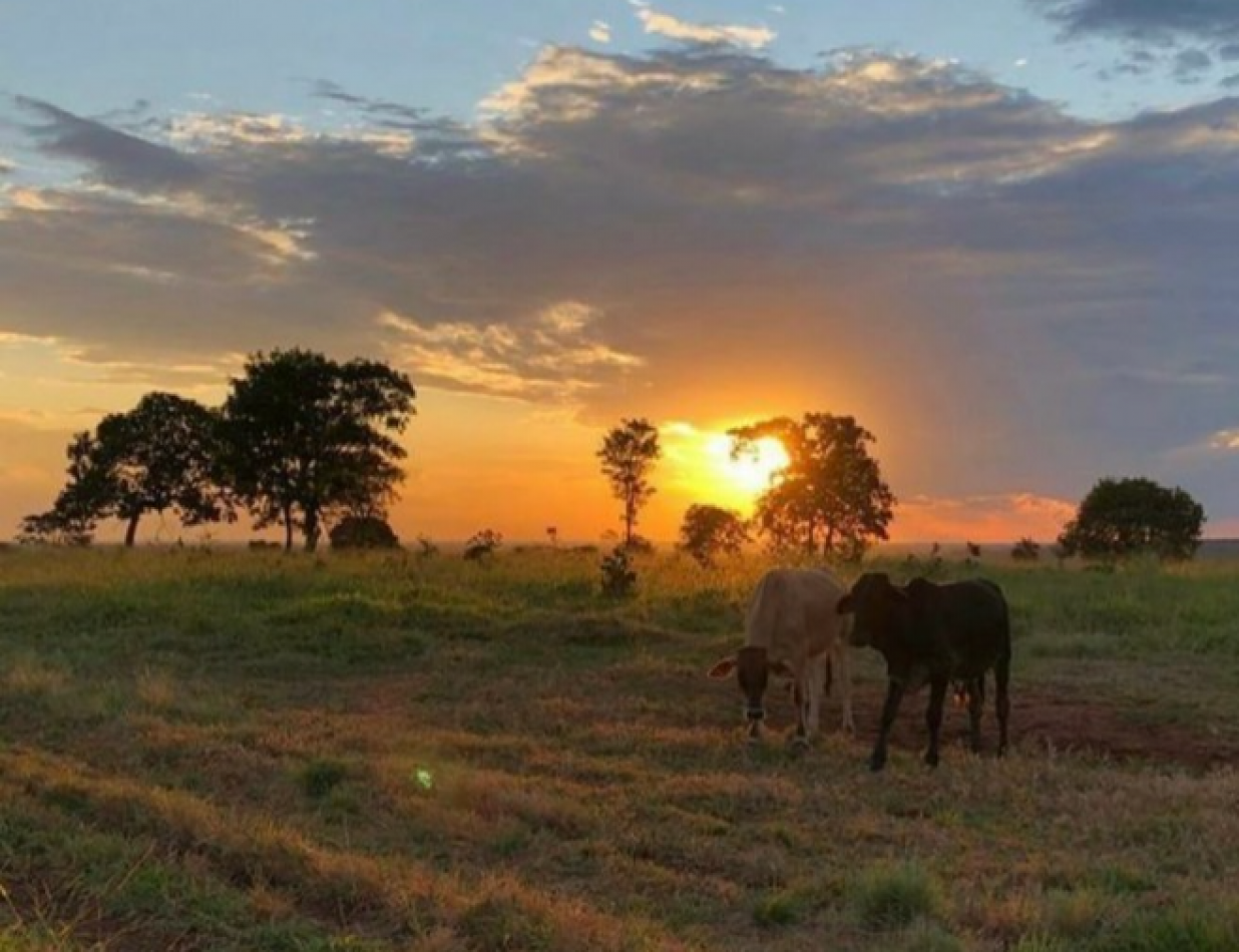 CAMPO DE 1280 HA EN SAN CRISTOBAL