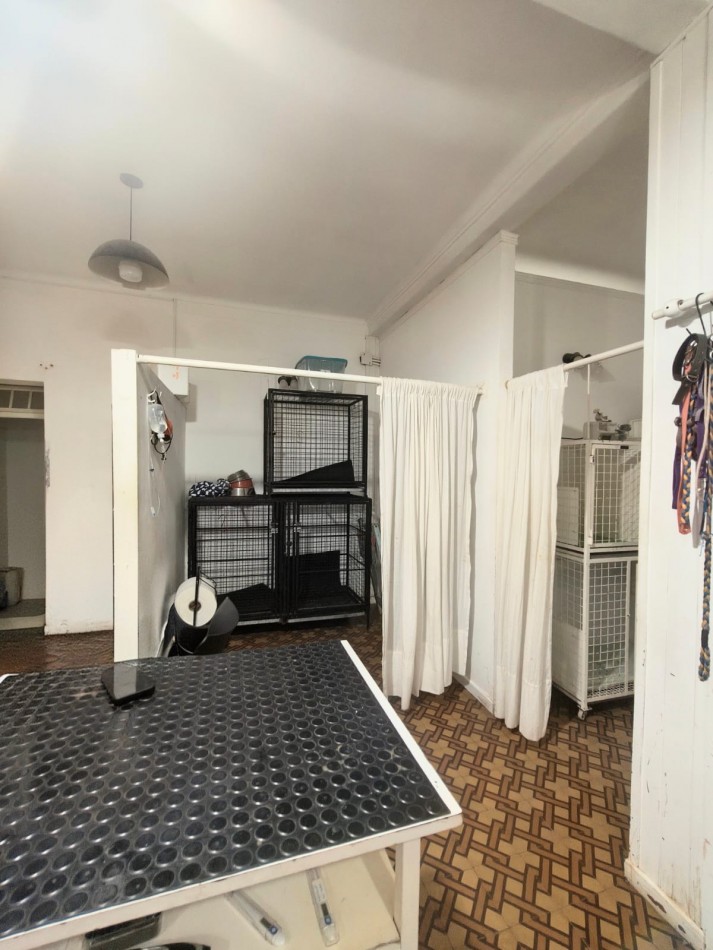 Casa/Local/Clinica en alquiler 