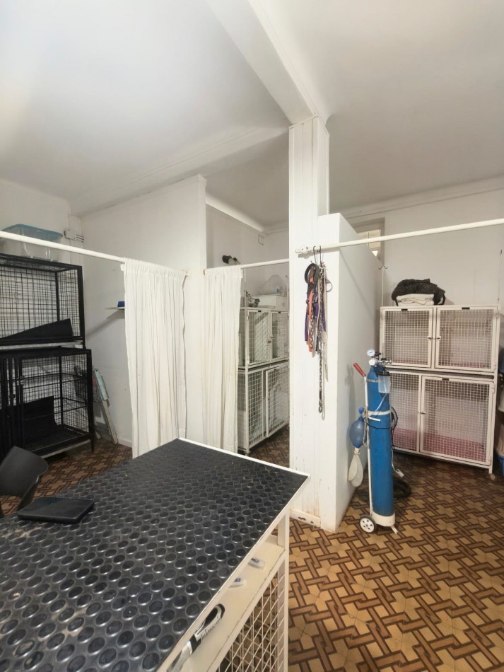 Casa/Local/Clinica en alquiler 